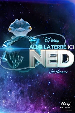 Regarder Allô la Terre, ici Ned en Streaming