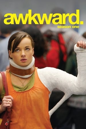 Awkward. saison 1