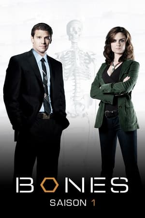 Bones saison 1