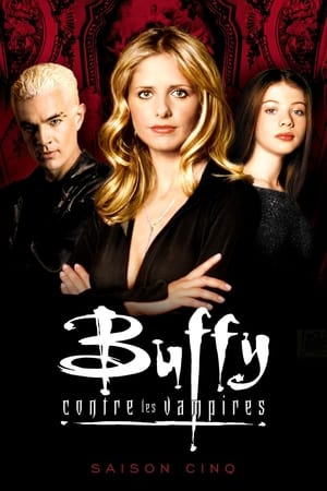 Buffy contre les vampires saison 5