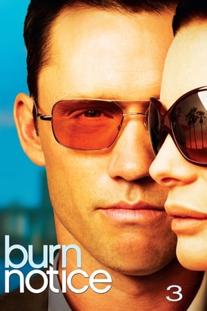 Burn Notice Saison 3 Episode 5