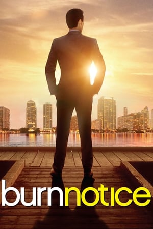 Regarder Burn Notice en Streaming