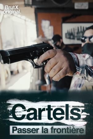 Cartels, passer la frontière saison 1