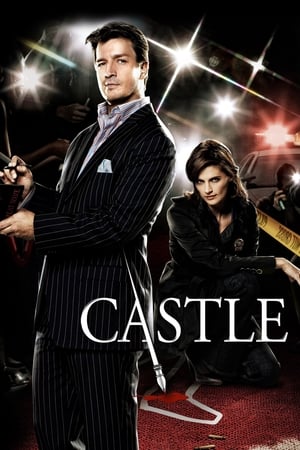 Castle saison 2