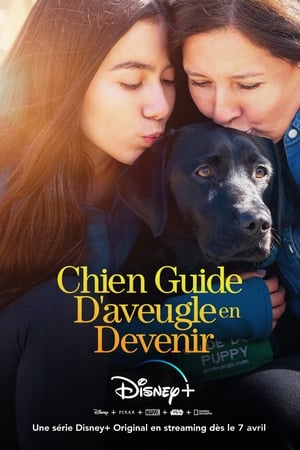 Regarder Chien Guide D'aveugle en Devenir en Streaming