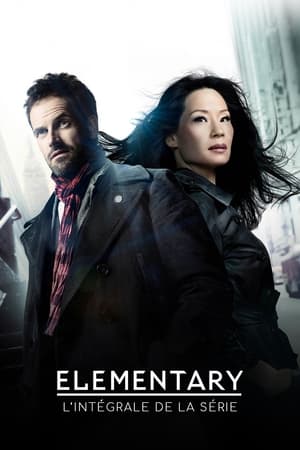 Regarder Elementary en Streaming