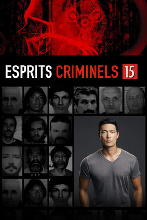 Esprits criminels Saison 15 Episode 5