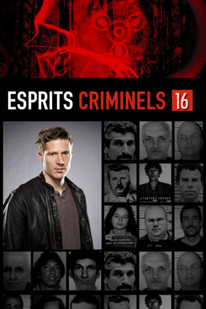 Esprits criminels Saison 16 Episode 5