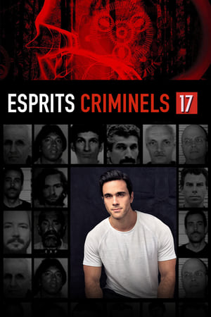 Esprits criminels saison 17