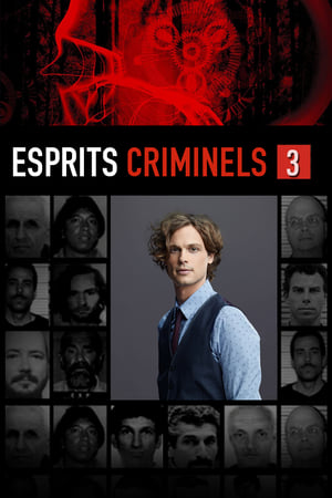 Esprits criminels Saison 3 Episode 5