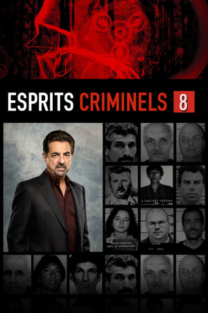 Esprits criminels Saison 8 Episode 5