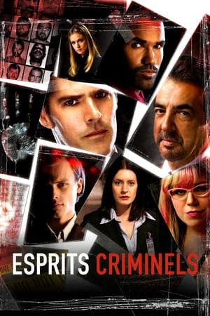 Regarder Esprits criminels en Streaming