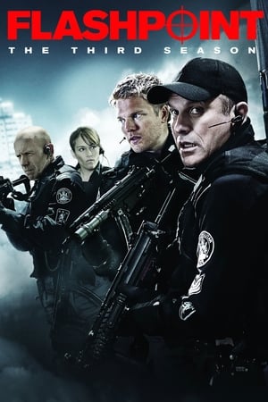 Flashpoint saison 3