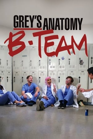 Regarder Grey's Anatomy - B-Team en Streaming