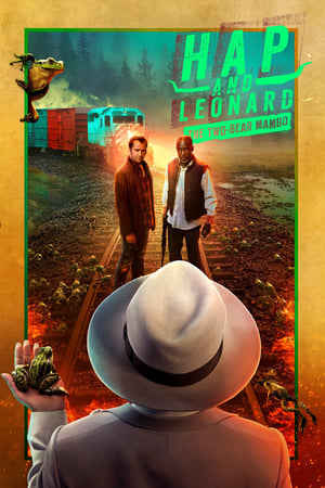 Regarder Hap and Leonard en Streaming