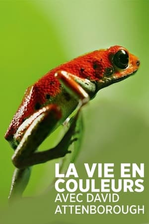 La vie en couleurs avec David Attenborough Saison 1 Episode 5