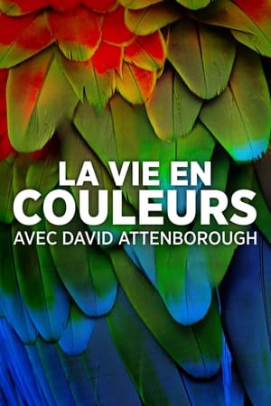 Regarder La vie en couleurs avec David Attenborough en Streaming