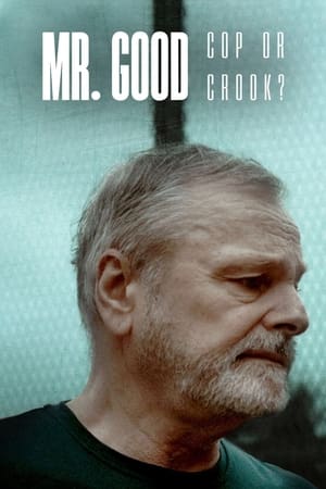 Regarder Mr. Good : Flic ou baron ? en Streaming