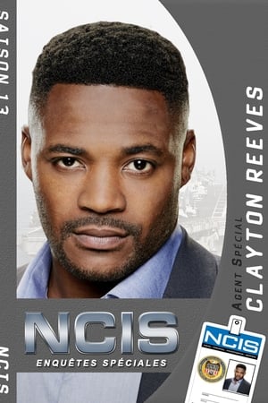 NCIS : Enquêtes spéciales saison 13