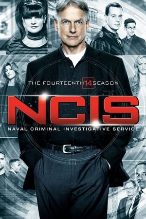 NCIS : Enquêtes spéciales saison 14