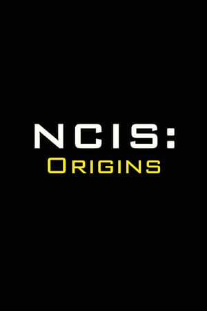 Regarder NCIS: Origins en Streaming