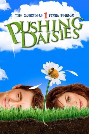 Pushing Daisies saison 1