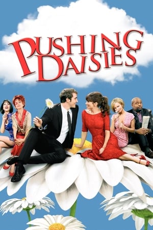 Regarder Pushing Daisies en Streaming