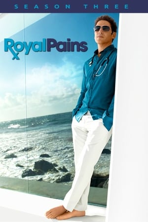 Royal Pains saison 3