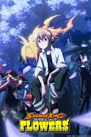 Regarder Shaman King Flowers en Streaming