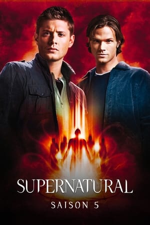 Supernatural saison 5