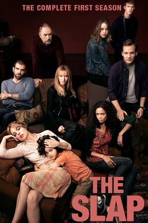 The Slap saison 1