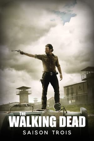 The Walking Dead saison 3