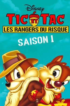 Tic et Tac, les rangers du risque saison 1