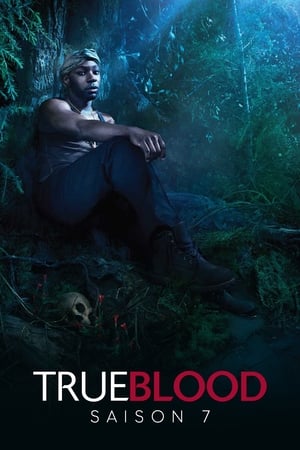 True Blood : de chair et de sang saison 7