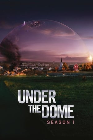 Under the Dome Saison 1 Episode 5