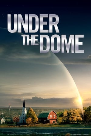 Regarder Under the Dome en Streaming